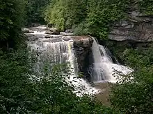 Black Waterfalls, West Virginia, USA