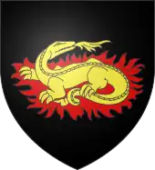 Salamander mit Flammengloriole (Gennes&nbsp;FR)