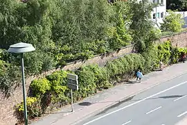 Der Flensburger Bahndamm