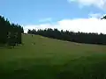 Blick auf die Feldbergseite des Hüttenwasens