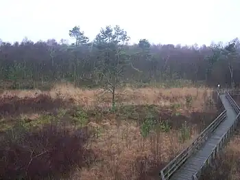 Blick in die Speller Dose