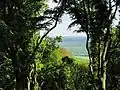 Ebberg – Blick vom Naturfreundehaus über die A1 in das Tal