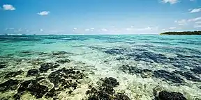 Abschnitt des Blue Bay Marine Park