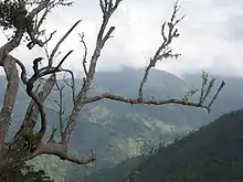 Blue und John Crow Mountains