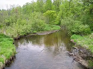 Der Blueberry River