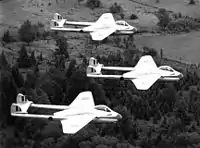 Blue Devils (Kunstflugstaffel)