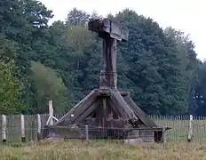 Historischer Hausbaum