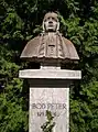 Büste von Péter Bod
