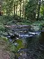Weiterer Bodewasserfall bei Braunlage am Fuß des Wurmbergs