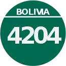 Ruta 4204