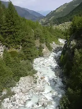 Borgne de Ferpècle