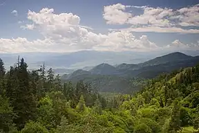 Bordschomi-Charagauli-Nationalpark