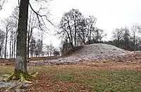 Grabhügel im Borrepark