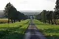 Allee zum Schloss Les Plassons