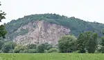 Blick über die Elbe auf das Boselmassiv