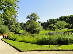 Weiher im Eingangsbereich