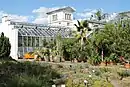 Im Botanischen Garten (2020)