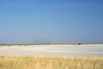 Salzpfanne im Nxai-Pan-Nationalpark