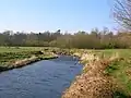 Annick Water