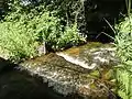 der Fluss Breme in Bréménil