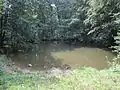 Oberer Bründlteich