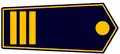 Branddirektor/in Werkfeuerwehr: Brandoberingenieur