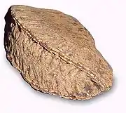 Paranuss