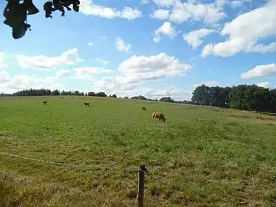 Höchster Punkt der Gemeinde Nontron (308&nbsp;m) bei Brégout