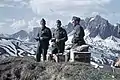 Brieftaubenpatrouille im Gebirge
