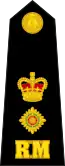 Lieutenant Colonel