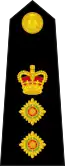 Colonel