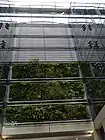 Britomart Transport Centre in Auckland
