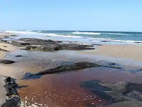 Coffee Rock im Broadwater-Nationalpark