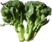 Broccoli (Brokkoli) (auch als Sprouting Broccoli, Spargelkohl)
