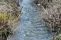 Der Brohlbach in Brohl