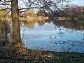 Ohresee in Brome