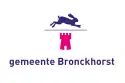 Flagge des Ortes Bronkhorst