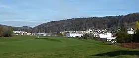 Bronschhofen