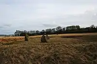 Henge von Crichie