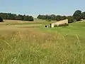 Landschaft nahe Brouville