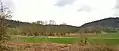 Blick auf die Bruchwiesen von Dorndiel (2015)