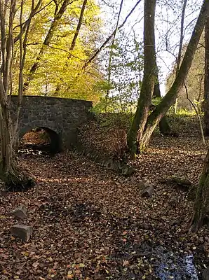 Ruthsenbach an der Brunnerswegbrücke bei den Scheftheimer Wiesen (2022)