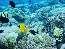 Nationalpark Bunaken