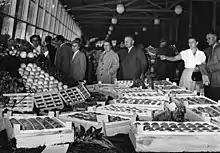 BUGA 1955: Kassel