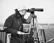 Ernst Schüz. Beobachten des Vogelfluges (1939)