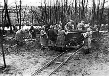 Zu sehen ist eine Schwarz-Weiß-Fotografie, auf welcher eine Gruppe weiblicher Häftlinge in gestreifter Häftlingskleidung einen Waggon belädt. Es ist körperlich schwere Zwangsarbeit.