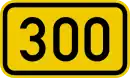 B300