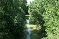Der Ombrone bei Buonconvento kurz nach dem Zusammenfluss mit dem Arbia