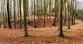Gesamtanlage von Osten