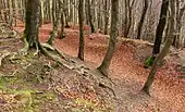 Blick von der Hauptburg nach Südosten